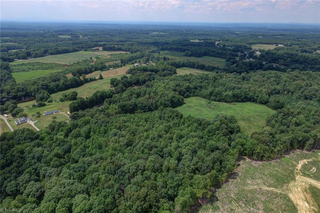 161 Huffines Mill Road Reidsville, NC 27320 - Photo 7 of 30 Gallery Image 7