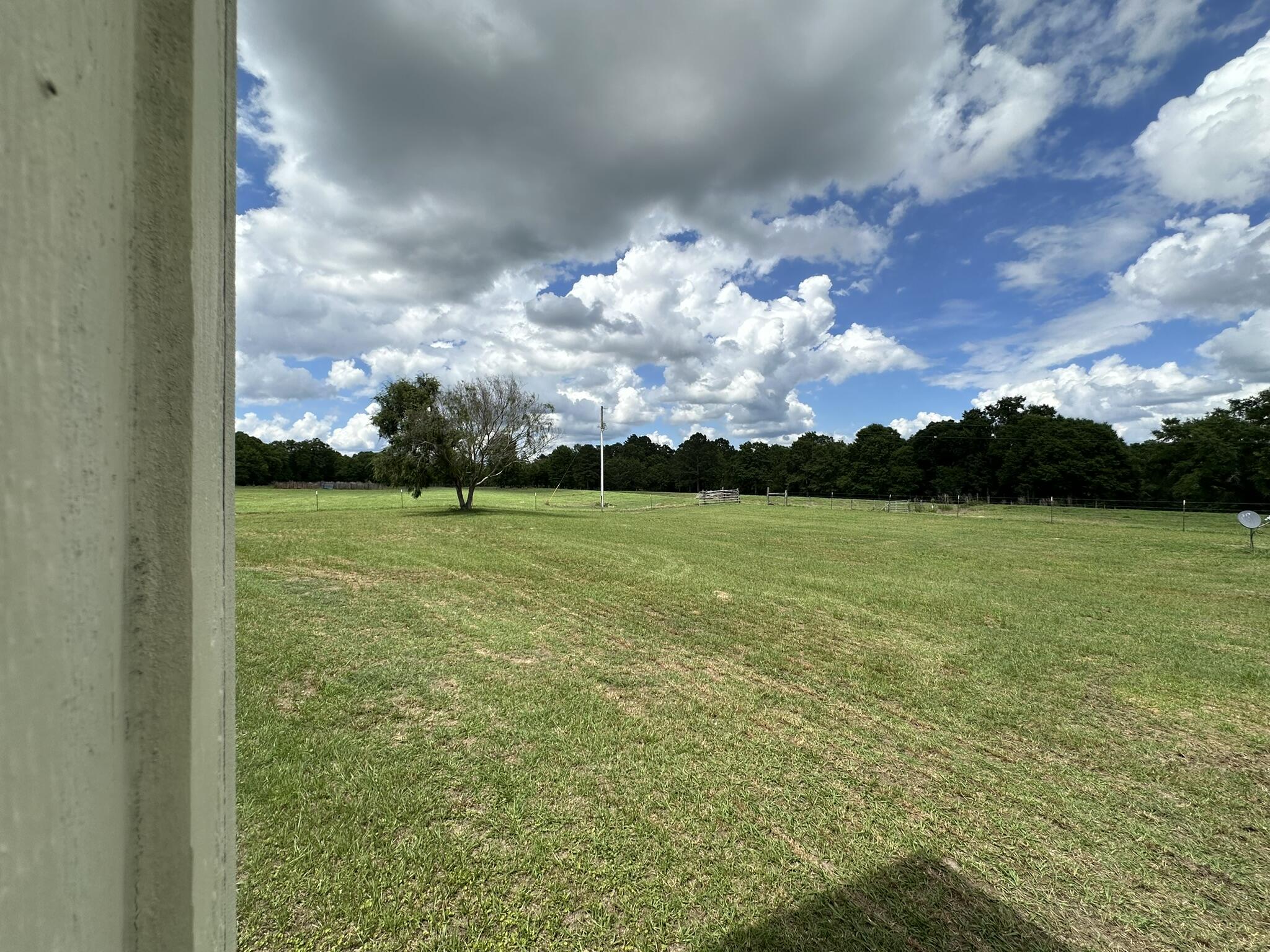 420 A Gomillion Road Florala, AL 36442 - Photo 6 of 23 IMG_9960