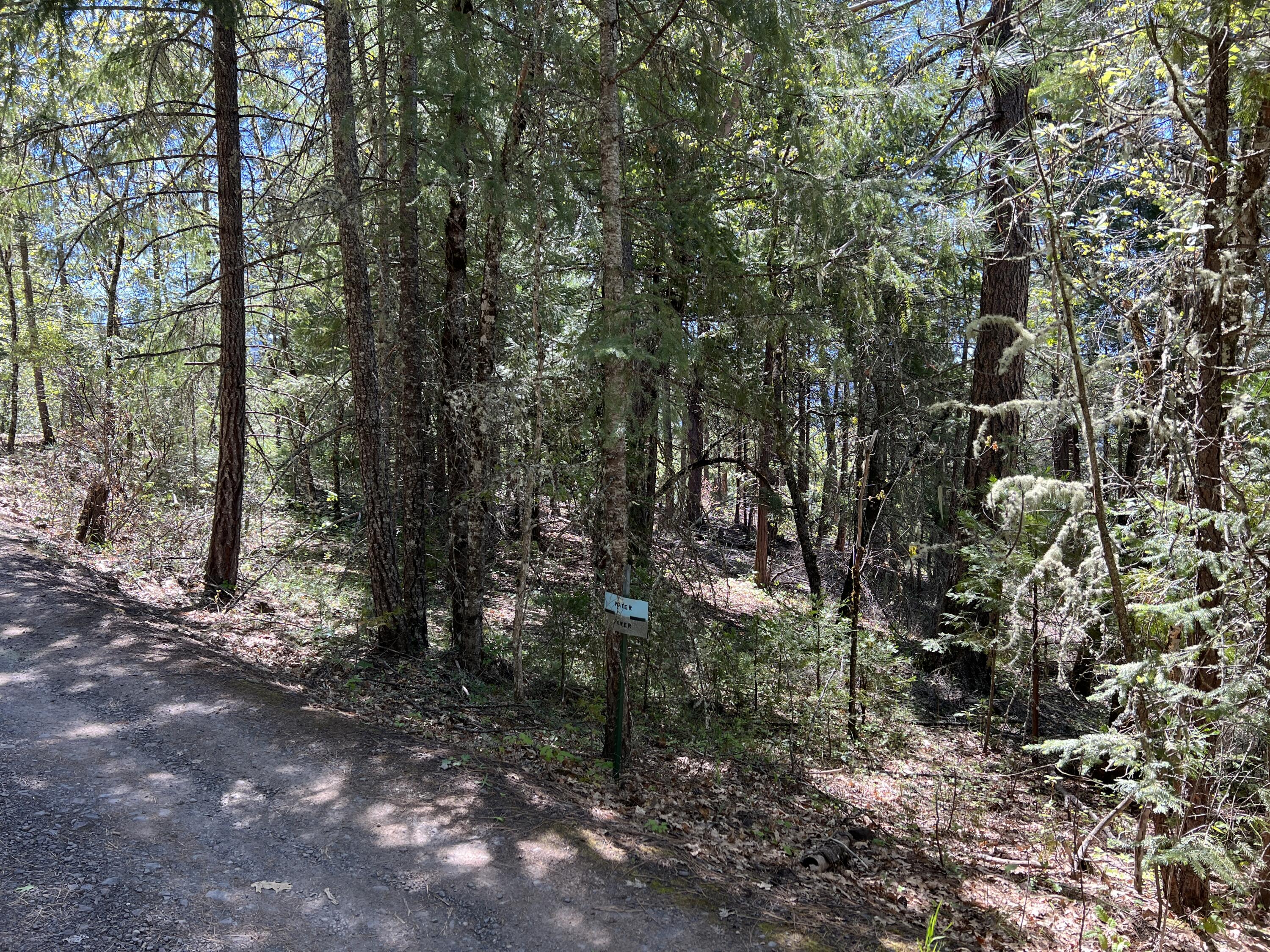 347 Flounce Rock Road Prospect, OR 97536 - Photo 3 of 12 IMG_2302