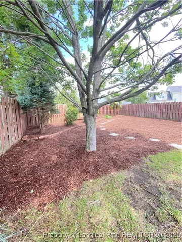 a view of a yard with plants and a large tree