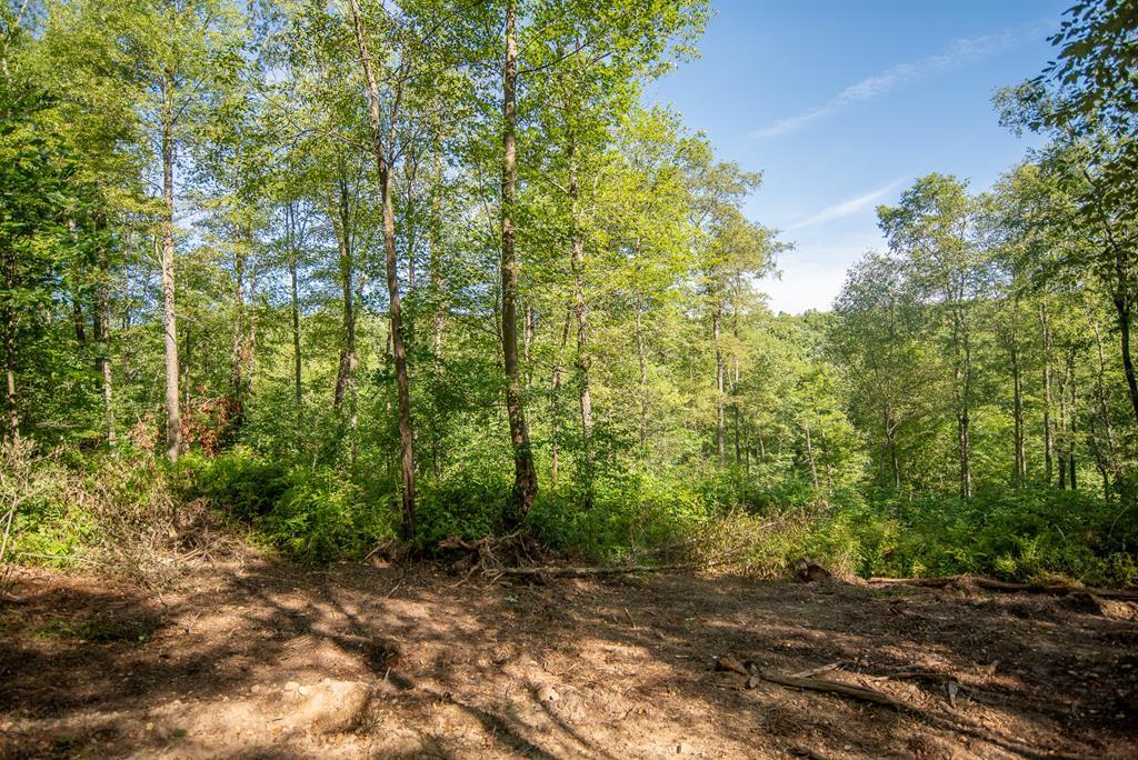 Lot #3 County Line Road Venus, PA 16364 - Photo 4 of 17