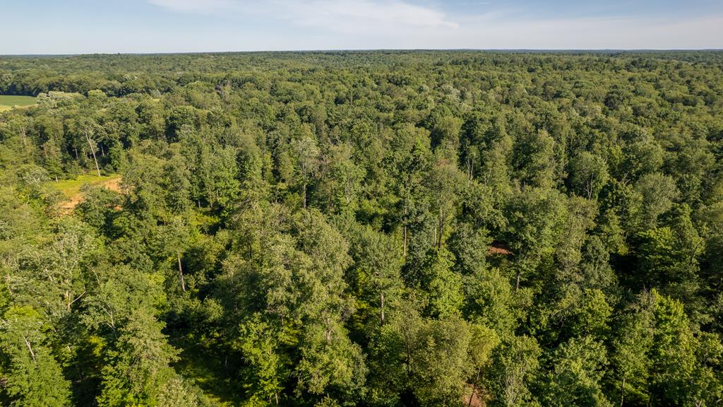 Lot #3 County Line Road Venus, PA 16364 - Photo 5 of 17