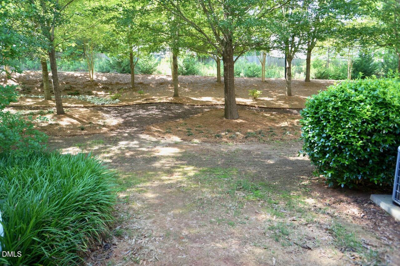 8817 Orchard Grove Way Raleigh, NC 27612 - Photo 16 of 17 DSC06229