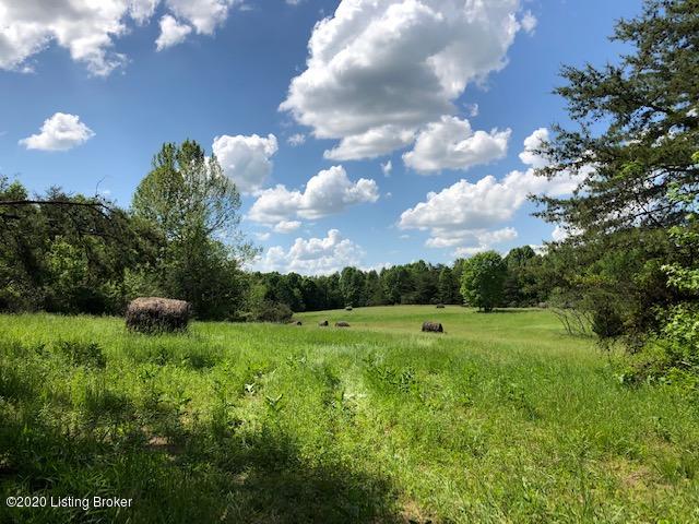 0 Old Hilltop Road Clarkson, KY 42726 - Photo 11 of 29 field 2 b