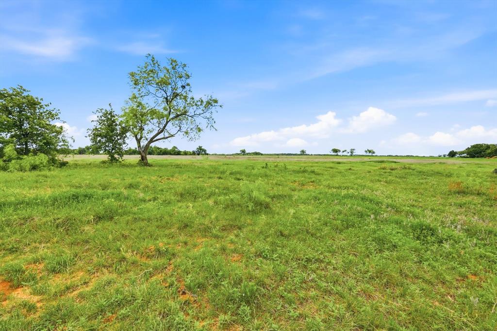 1060 Mustang Ridge Perrin, TX 76486 - Photo 4 of 9