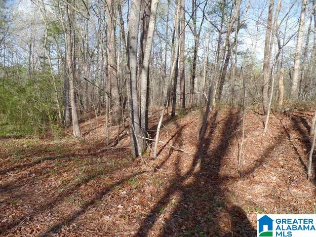 Azalea Street, Unit 2 51 Heflin, AL 36264 - Photo 12 of 14