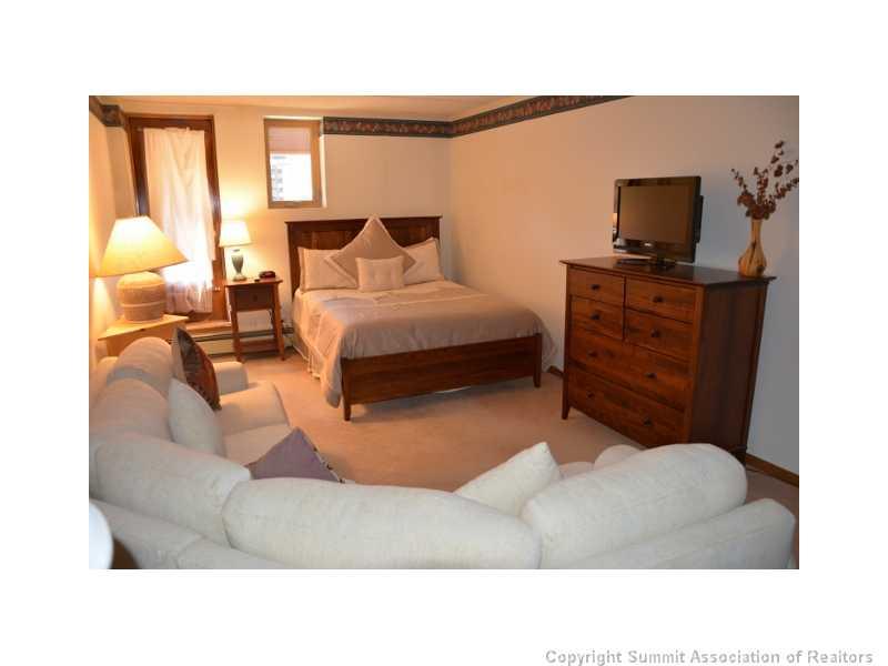 800 Copper Road, Unit 271 Copper Mountain, CO 80443 - Photo 14 of 25