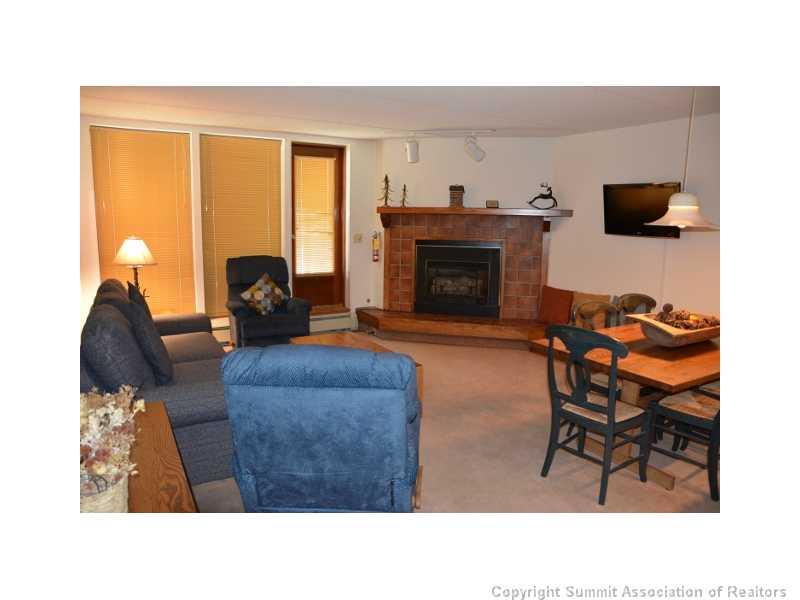 800 Copper Road, Unit 271 Copper Mountain, CO 80443 - Photo 3 of 25