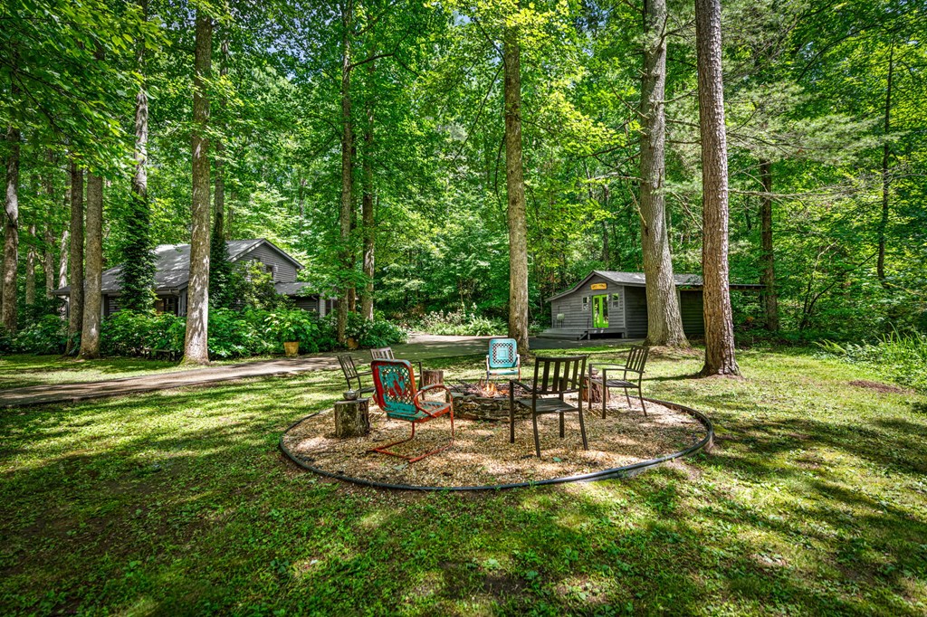 2977 Highway 2 Blue Ridge, GA 30513 - Photo 82 of 89
