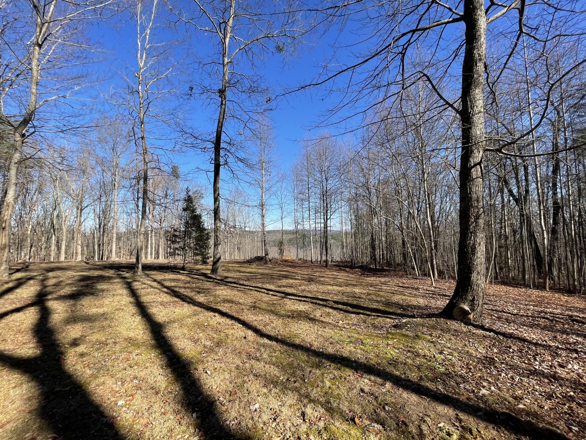 718 Wheeler Road Dunlap, TN 37327 - Photo 18 of 21 Gallery Image 18