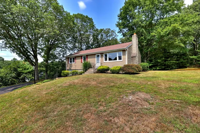a front view of house with yard and green space