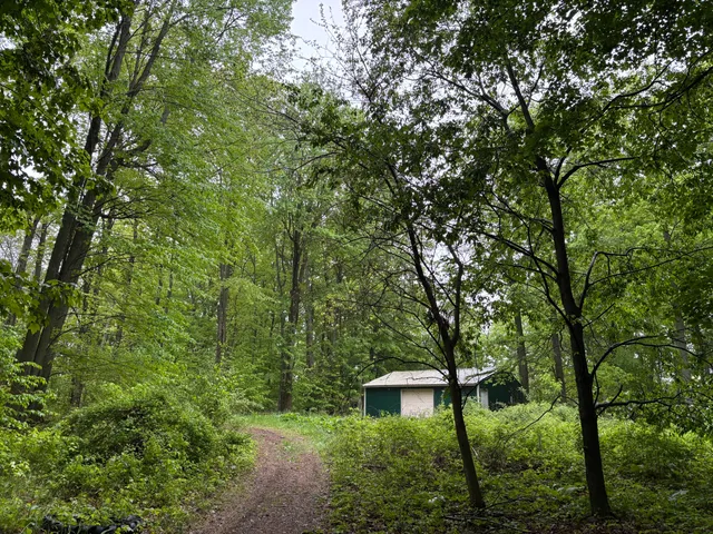 $95,000 | 5220 Park Drive, Six Lakes, MI 48886