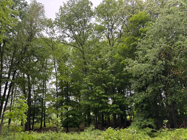 $95,000 | 5220 Park Drive, Six Lakes, MI 48886