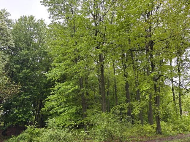 $95,000 | 5220 Park Drive, Six Lakes, MI 48886