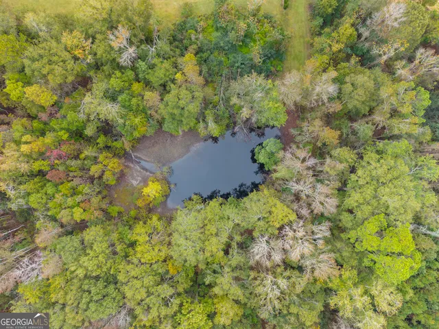 $999,999 | 893 West Lane Street, Statesboro, GA 30461