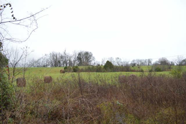 0 Kelso Smithland Road Elora, TN 37328 - Photo 3 of 3 Gallery Image 3