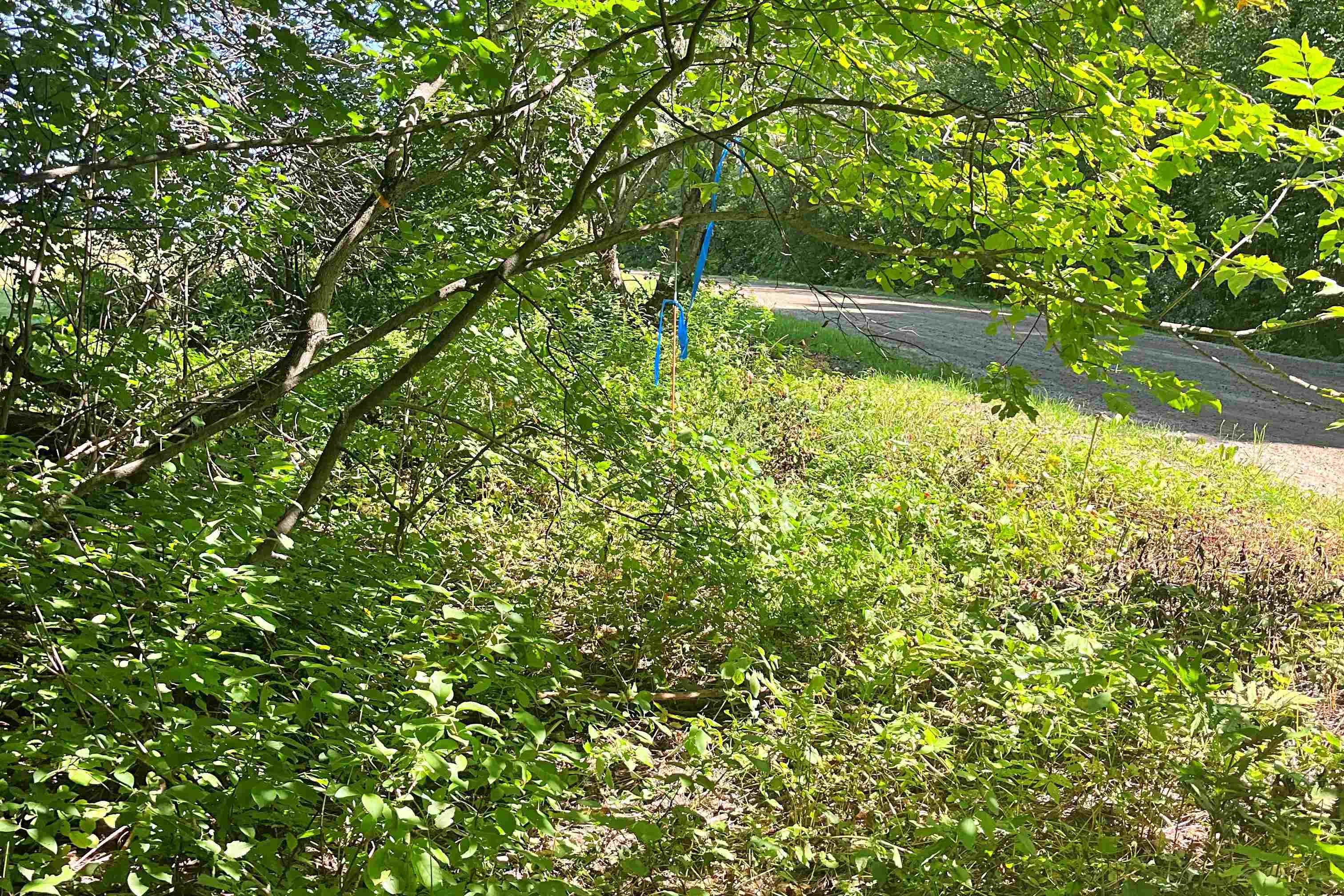 - North Jay Road Jay, VT 05859 - Photo 1 of 6