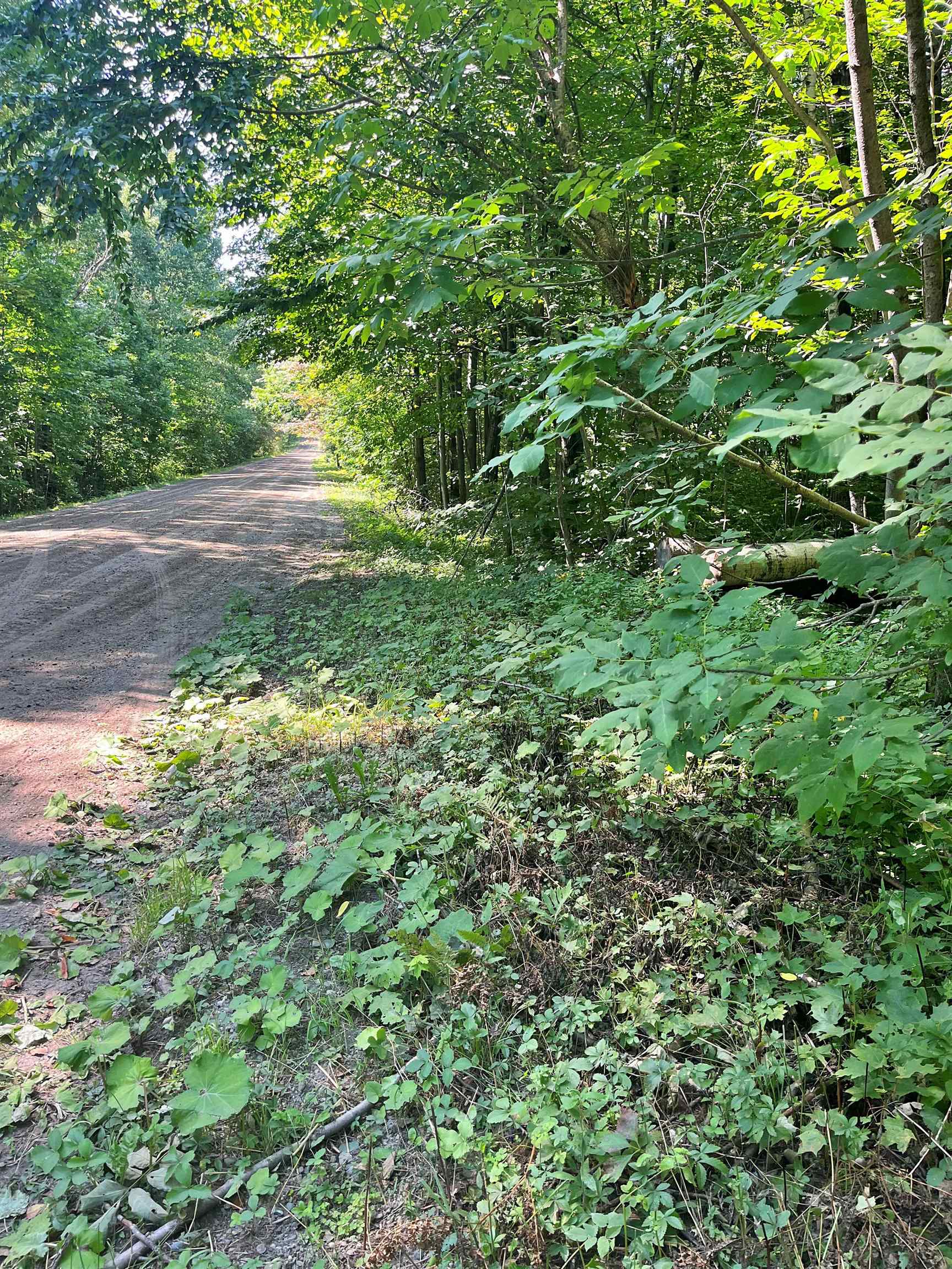 - North Jay Road Jay, VT 05859 - Photo 2 of 6