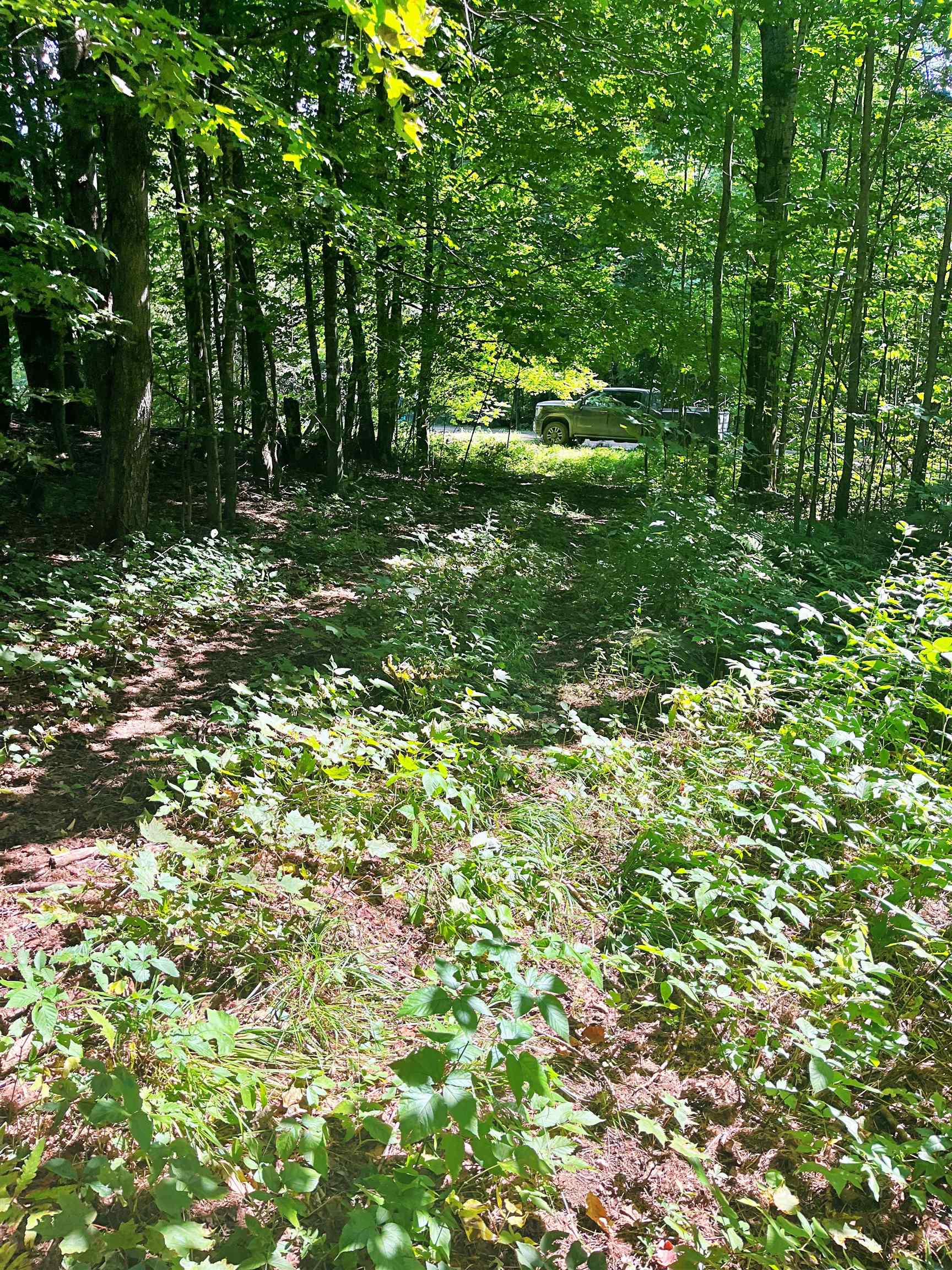 - North Jay Road Jay, VT 05859 - Photo 3 of 6