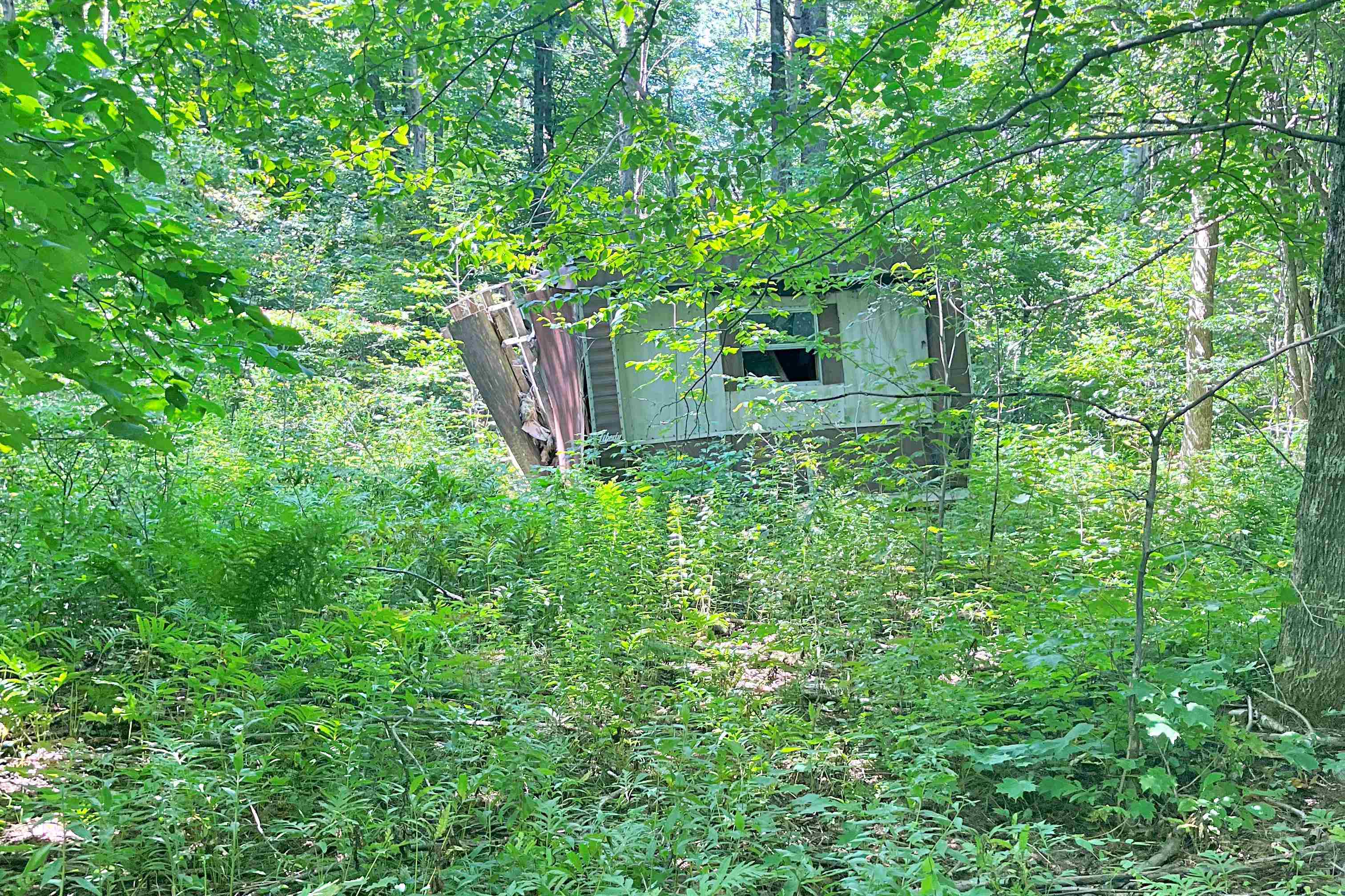 - North Jay Road Jay, VT 05859 - Photo 4 of 6