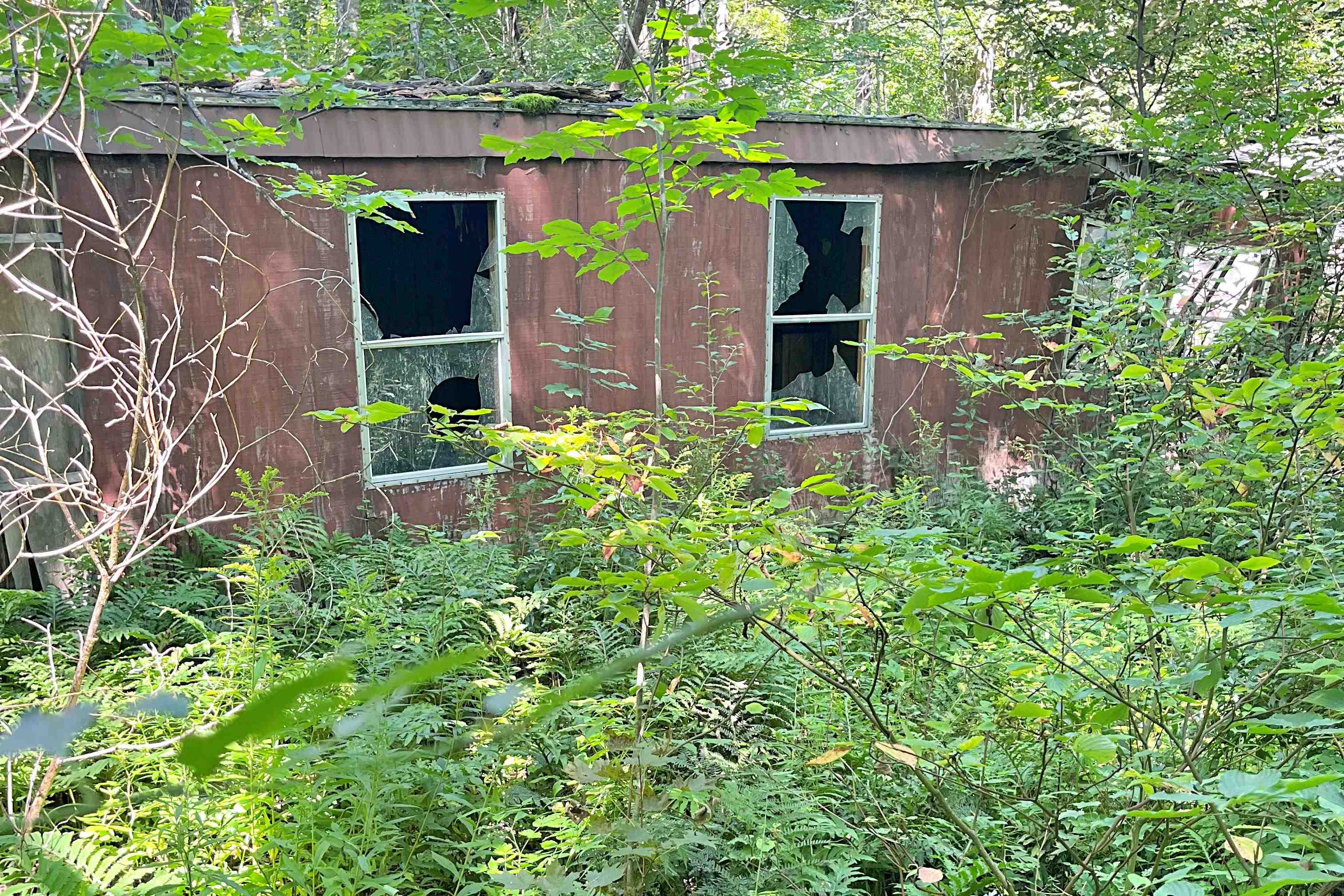 - North Jay Road Jay, VT 05859 - Photo 5 of 6