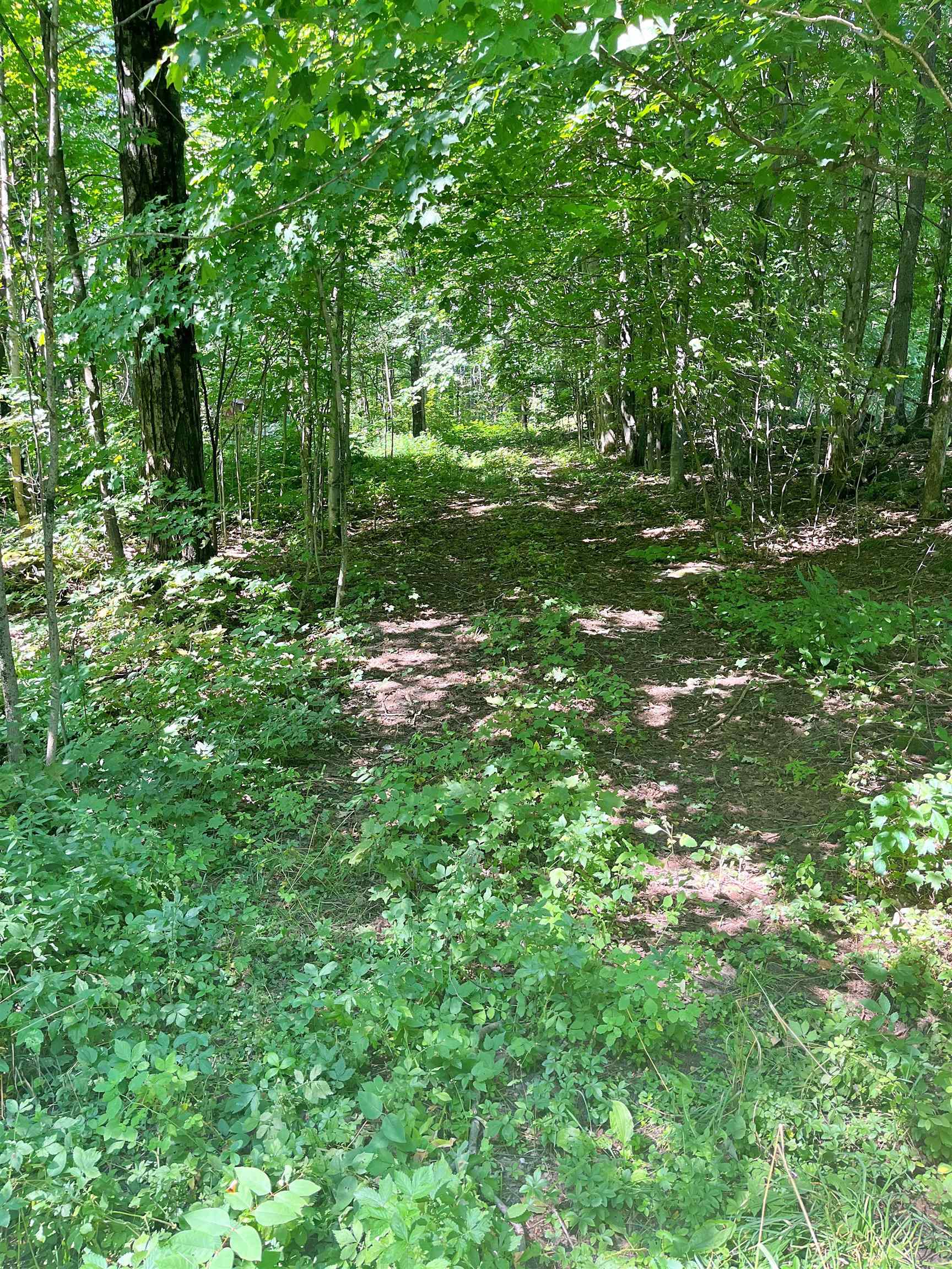 - North Jay Road Jay, VT 05859 - Photo 6 of 6