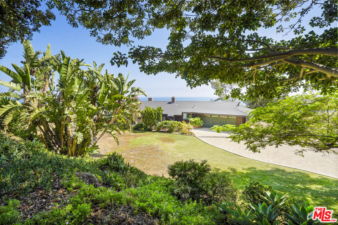 3217 Colony View Circle Malibu, CA 90265 - Photo 1 of 23 a view of a yard with plants and large trees