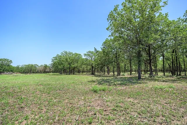 a view of outdoor space with trees all around