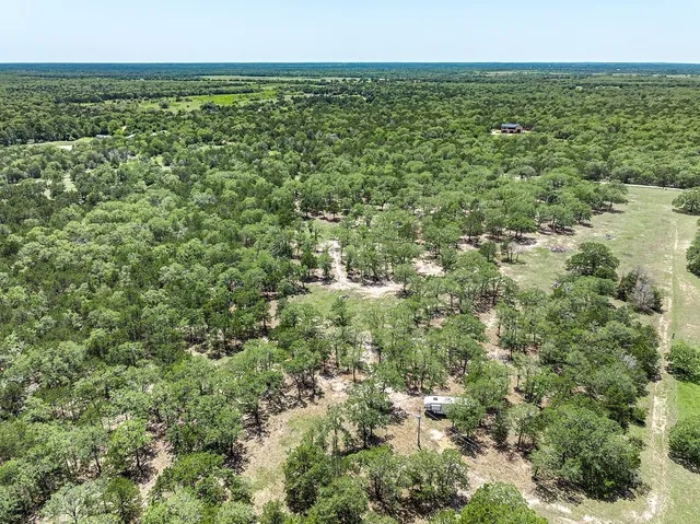 a view of a large yard with lots of green space