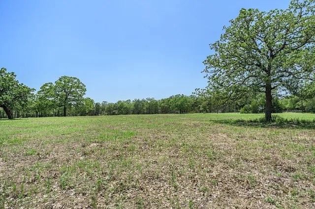 a view of a field with trees in background