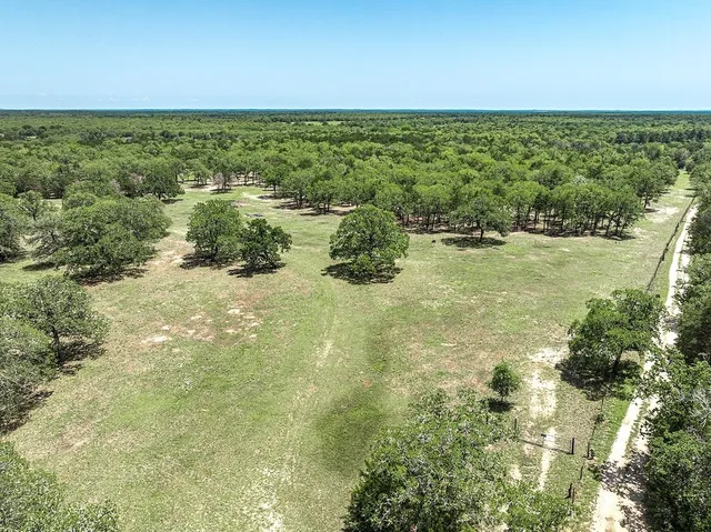 a view of a lake with a city