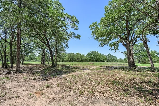a view of dirt yard with a tree