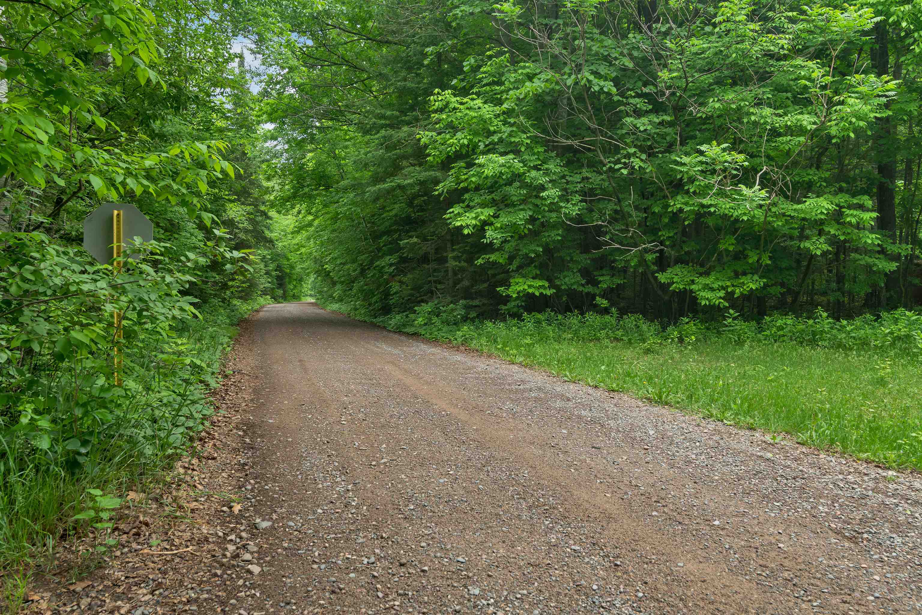 3159 Williams Road Long Lake, WI 54542 - Photo 64 of 90