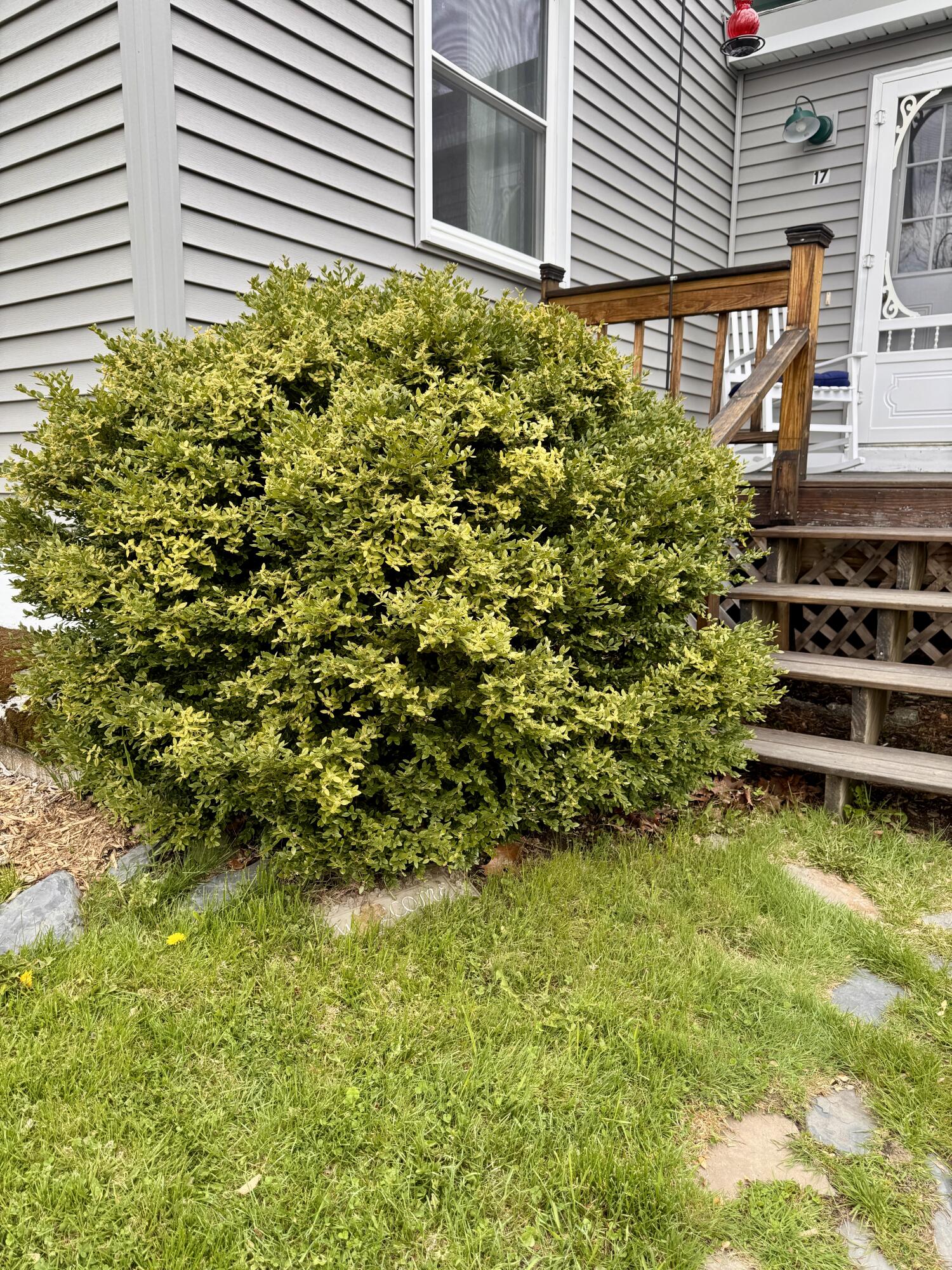 17 Old Pond Road Dexter, ME 04930 - Photo 79 of 100