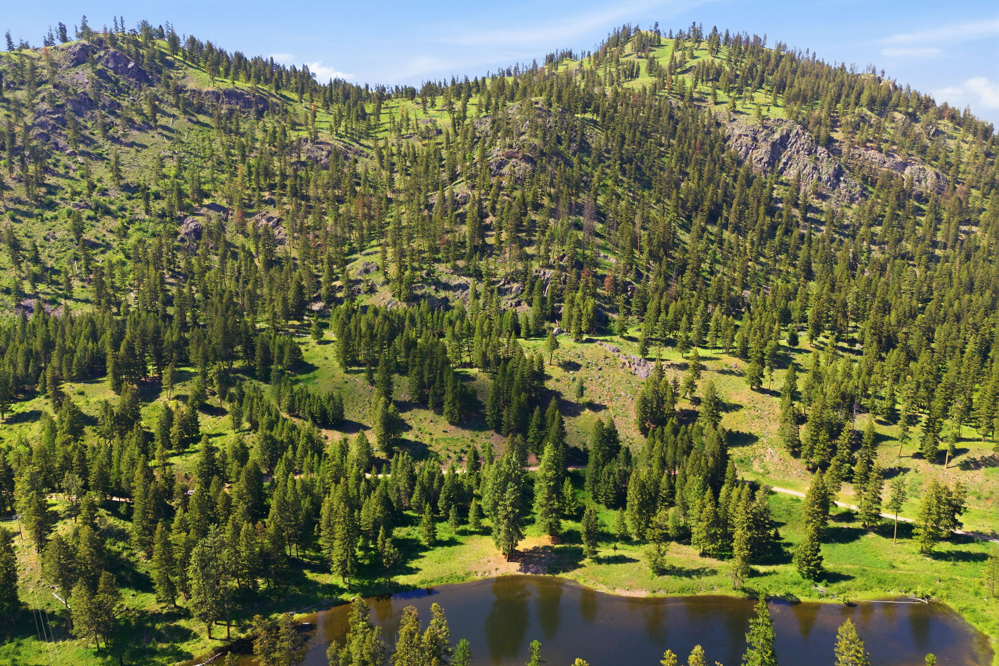 2 Big Waters Ranch Seeley Lake, MT 59868 - Photo 26 of 33 Gallery Image 26