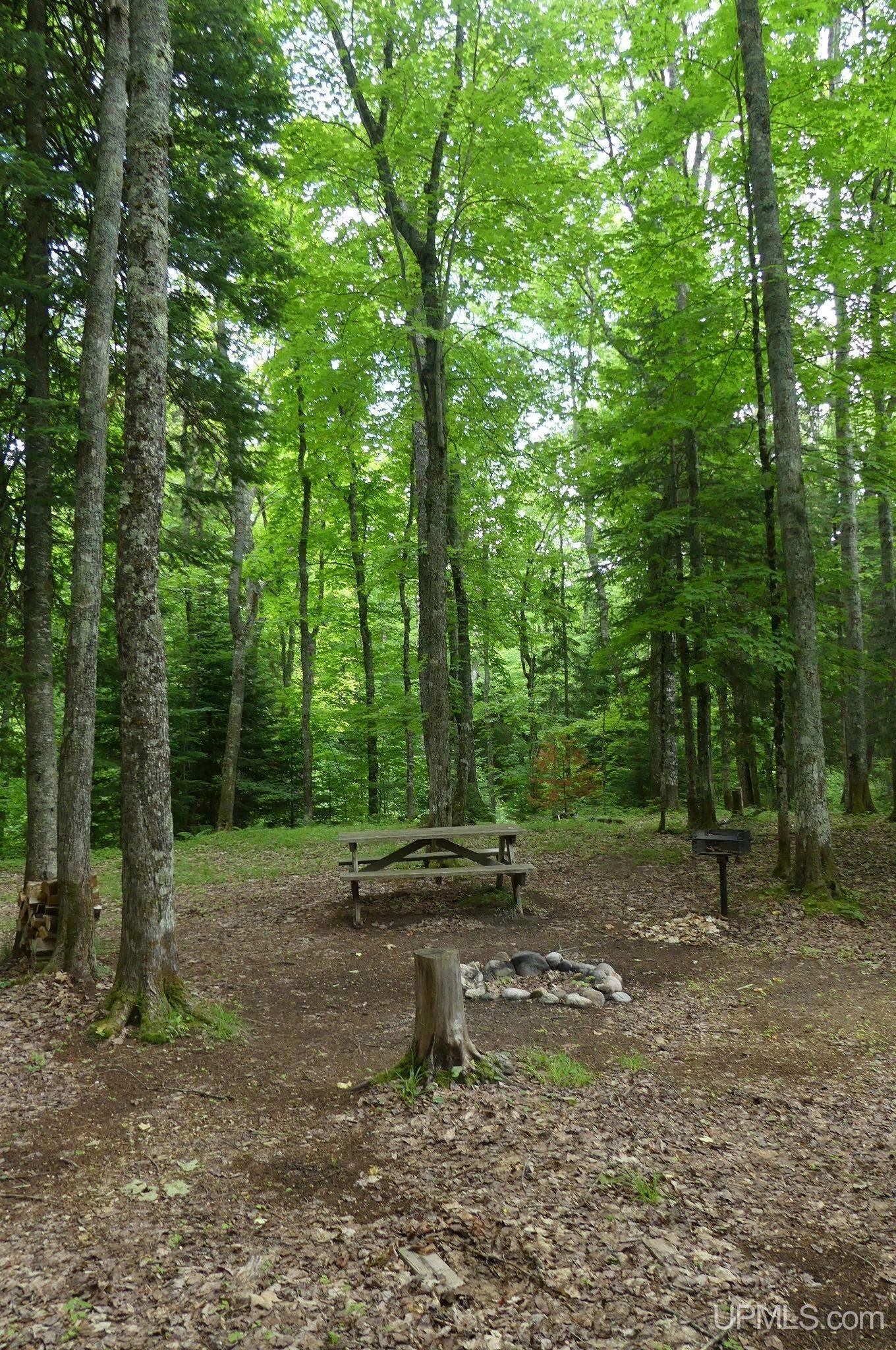 47 East 3rd Road Seney, MI 49883 - Photo 15 of 30 Gallery Image 15
