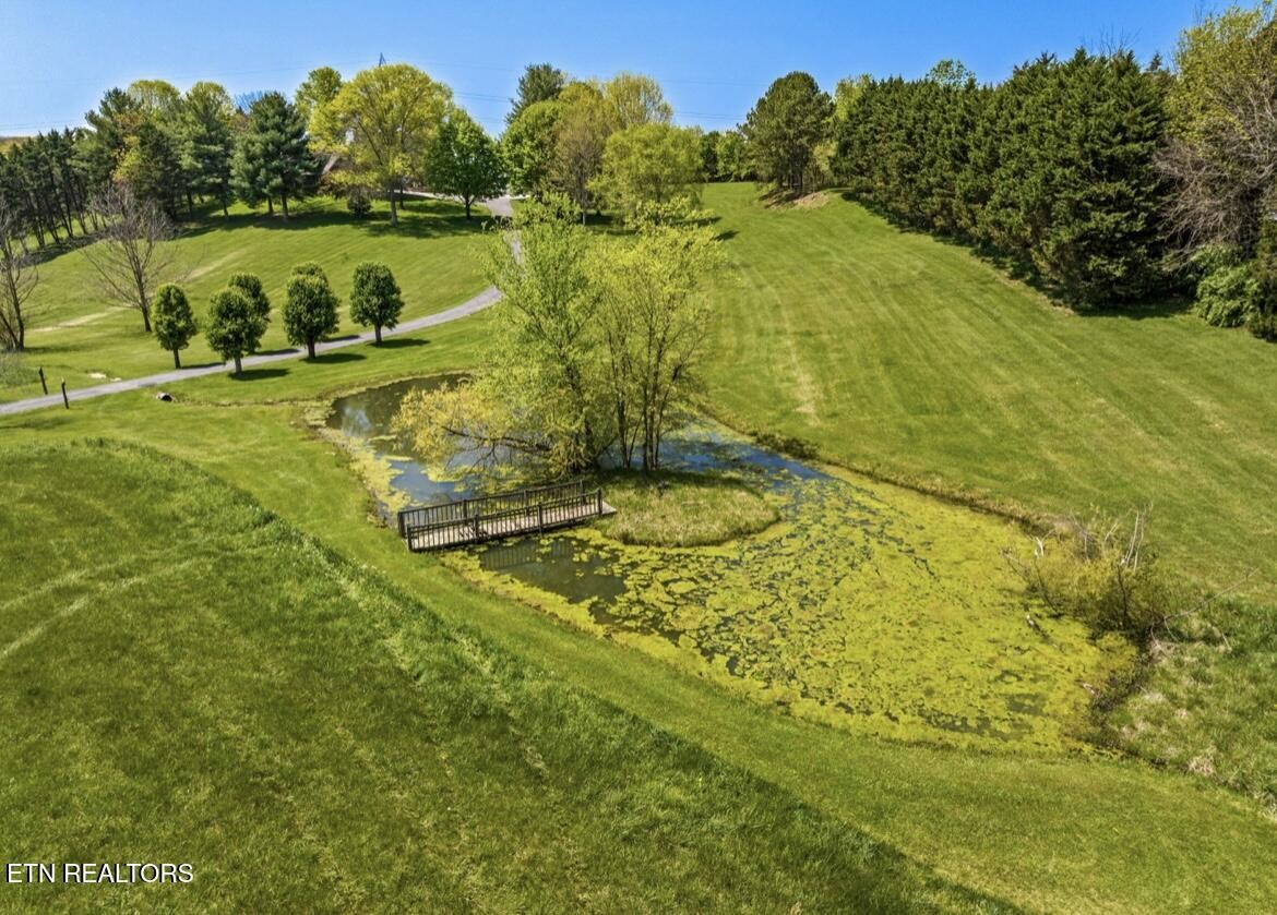 2041 Witt Road White Pine, TN 37890 - Photo 28 of 49