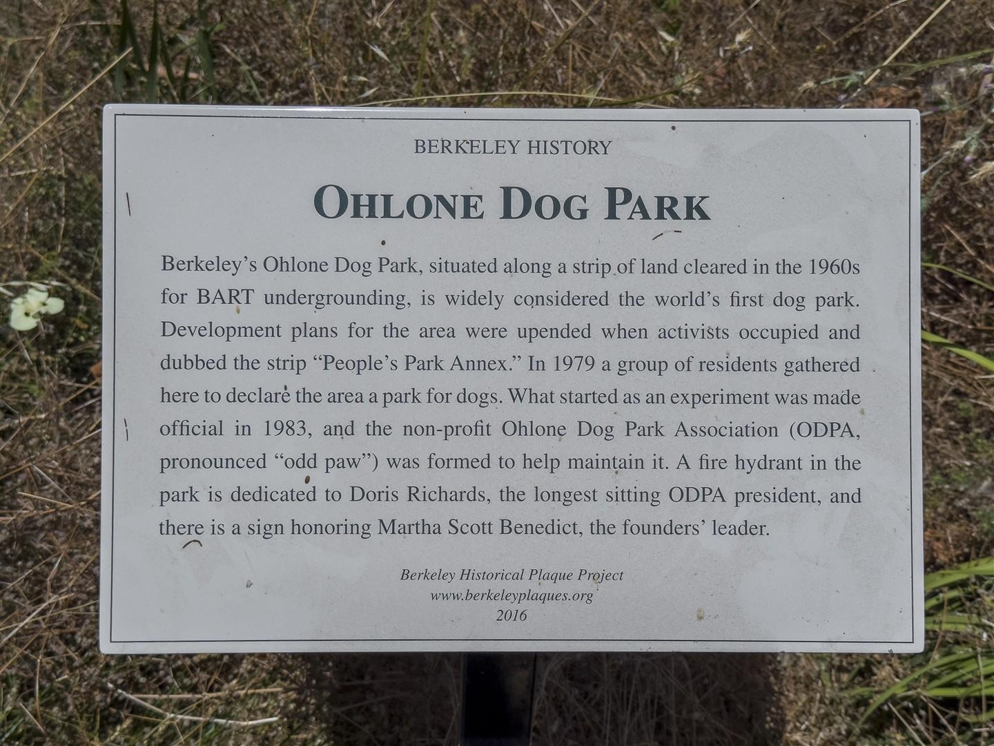 1436 Delaware Street Berkeley, CA 94702 - Photo 36 of 60 Exterior view