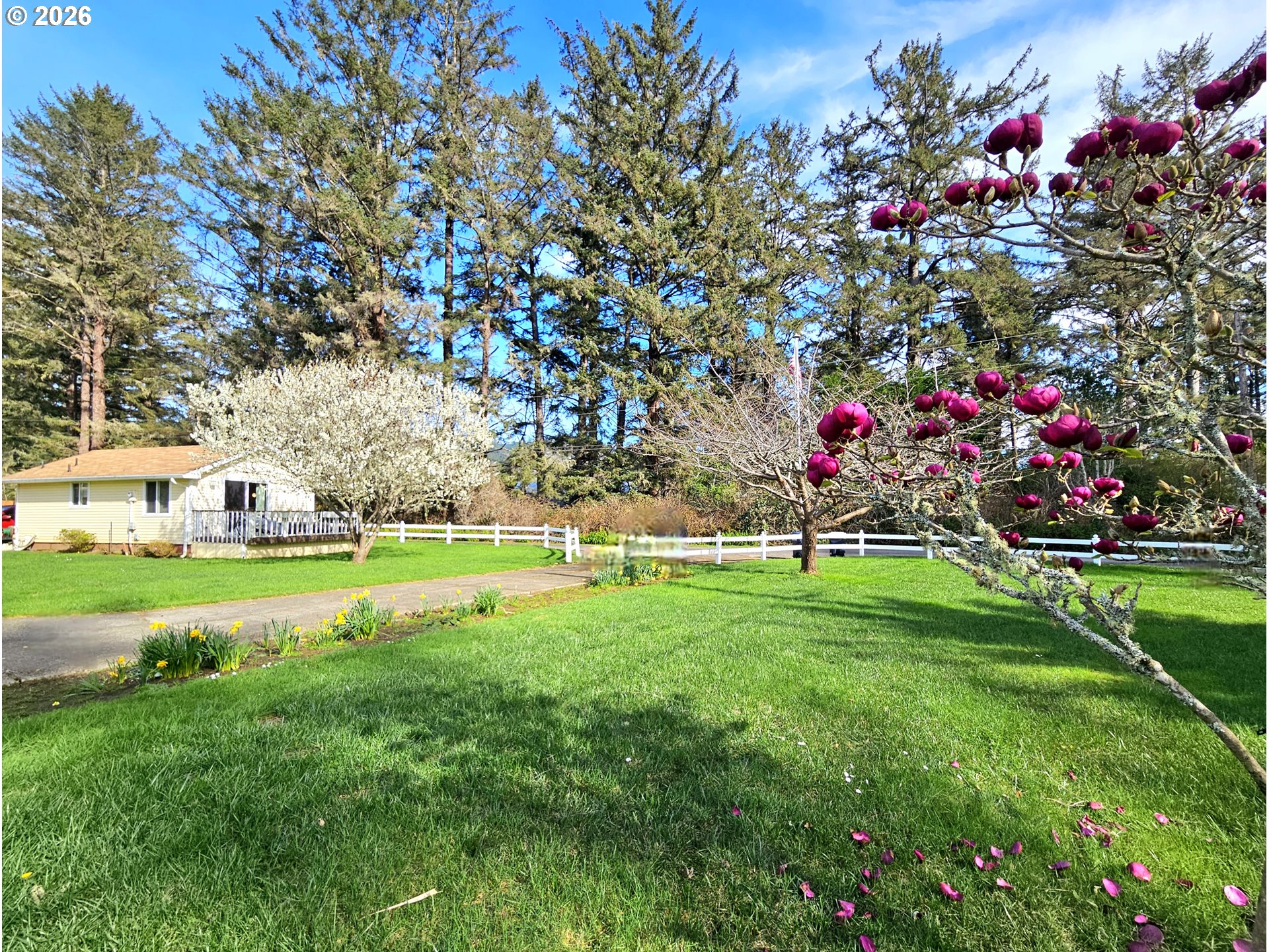 15482 Morrison Lane Brookings, OR 97415 - Photo 8 of 42 a view of a house with a big yard and large trees