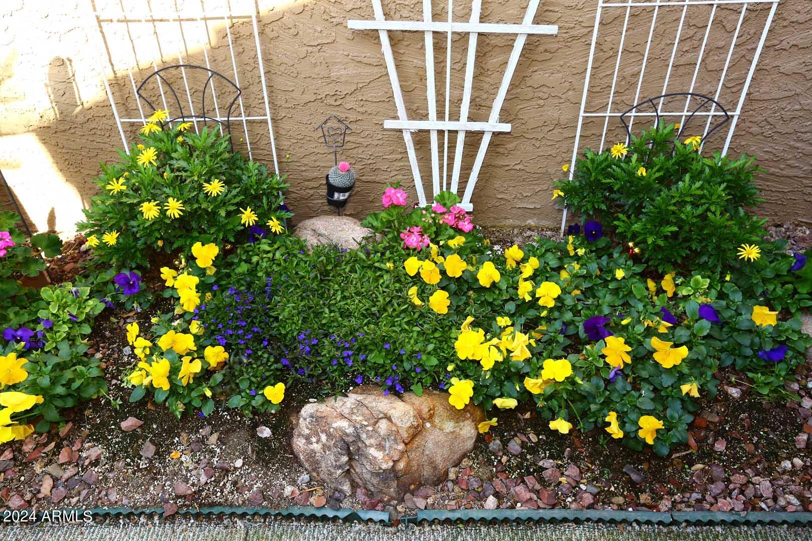 6945 East Cochise Road, Unit 122 Paradise Valley, AZ 85253 - Photo 10 of 35 Patio-Flowers