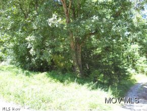 0 Oil Ridge Road Harrisville, WV 26362 - Photo 2 of 4 Gallery Image 2