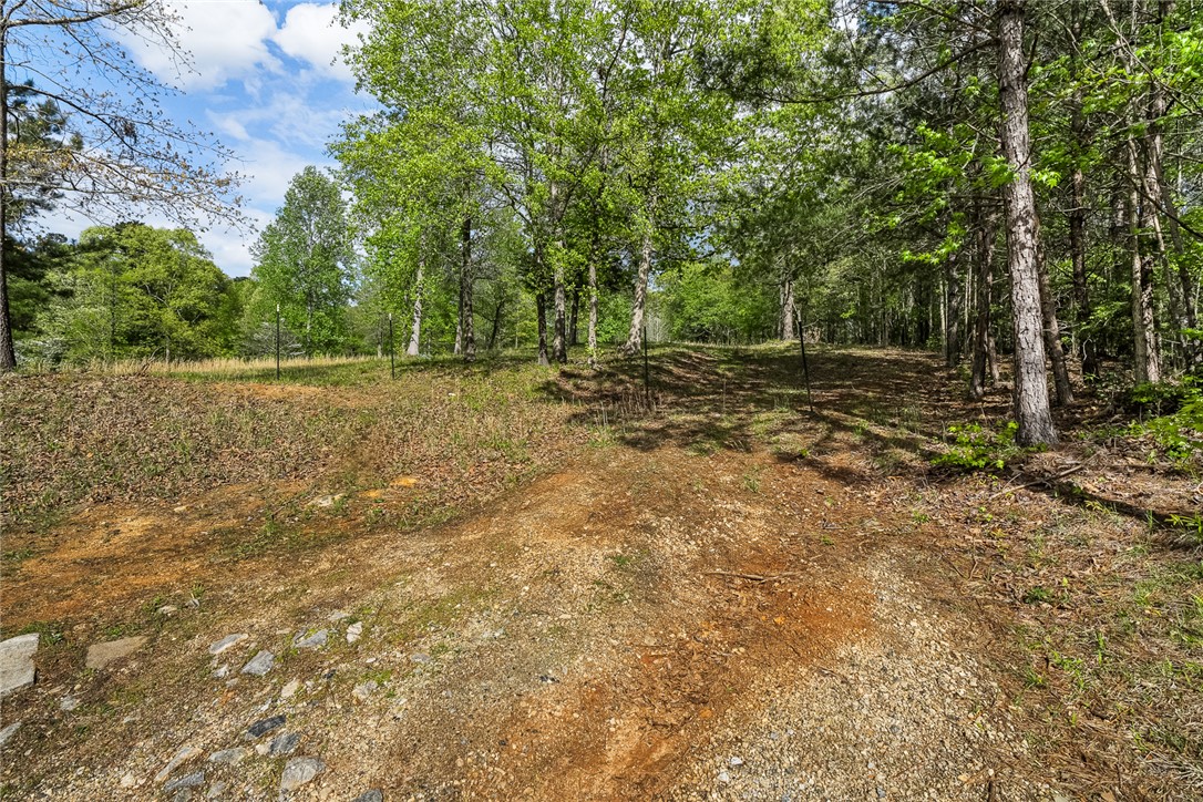 467 Overlook Drive Fair Play, SC 29643 - Photo 7 of 24