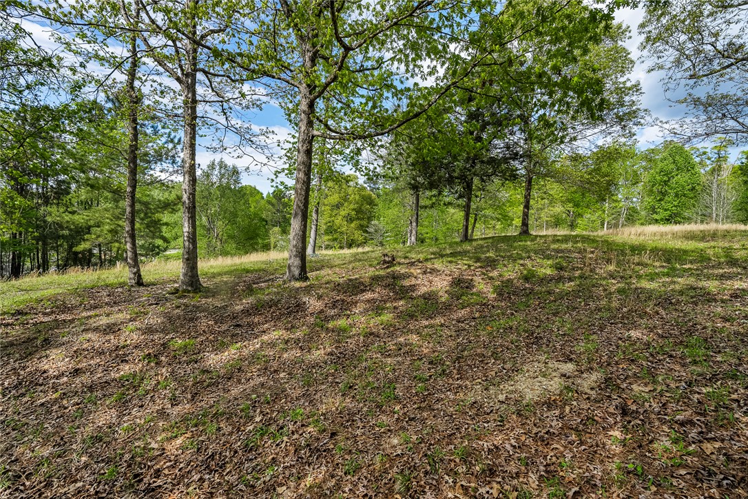 467 Overlook Drive Fair Play, SC 29643 - Photo 8 of 24