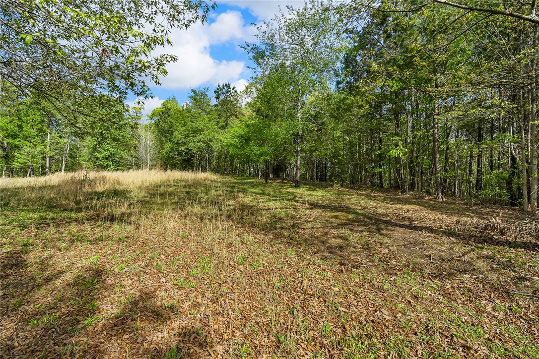 467 Overlook Drive Fair Play, SC 29643 - Photo 9 of 24
