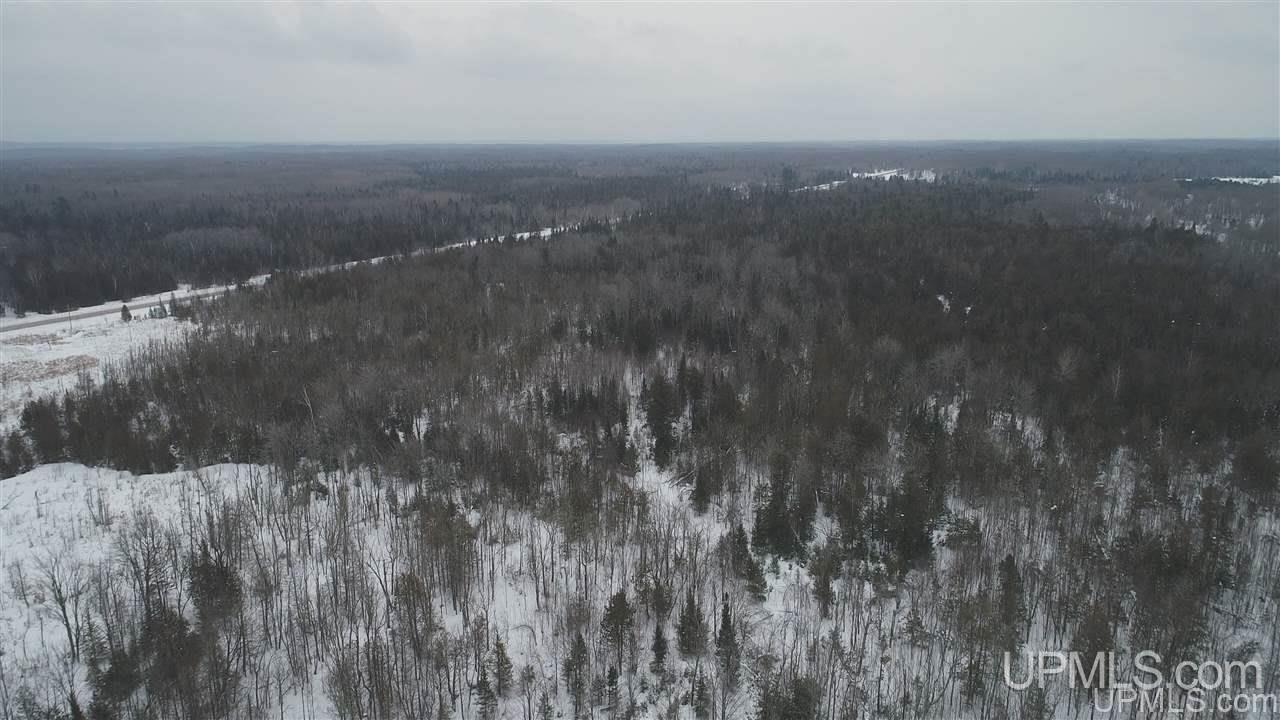 75-acres West Cold Springs Road Chatham, MI 49816 - Photo 26 of 42