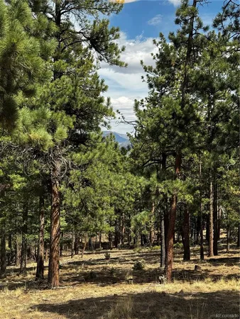$635,000 | 16525 Mt Princeton Road, Buena Vista, CO 81211