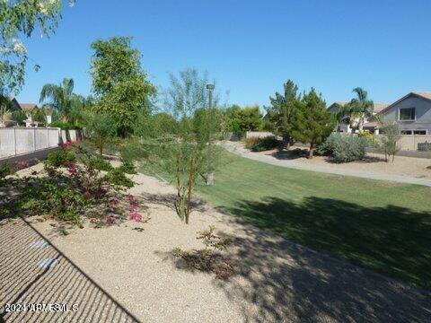 7309 West Mohawk Lane Glendale, AZ 85308 - Photo 6 of 24 a view of a yard with plants and palm trees