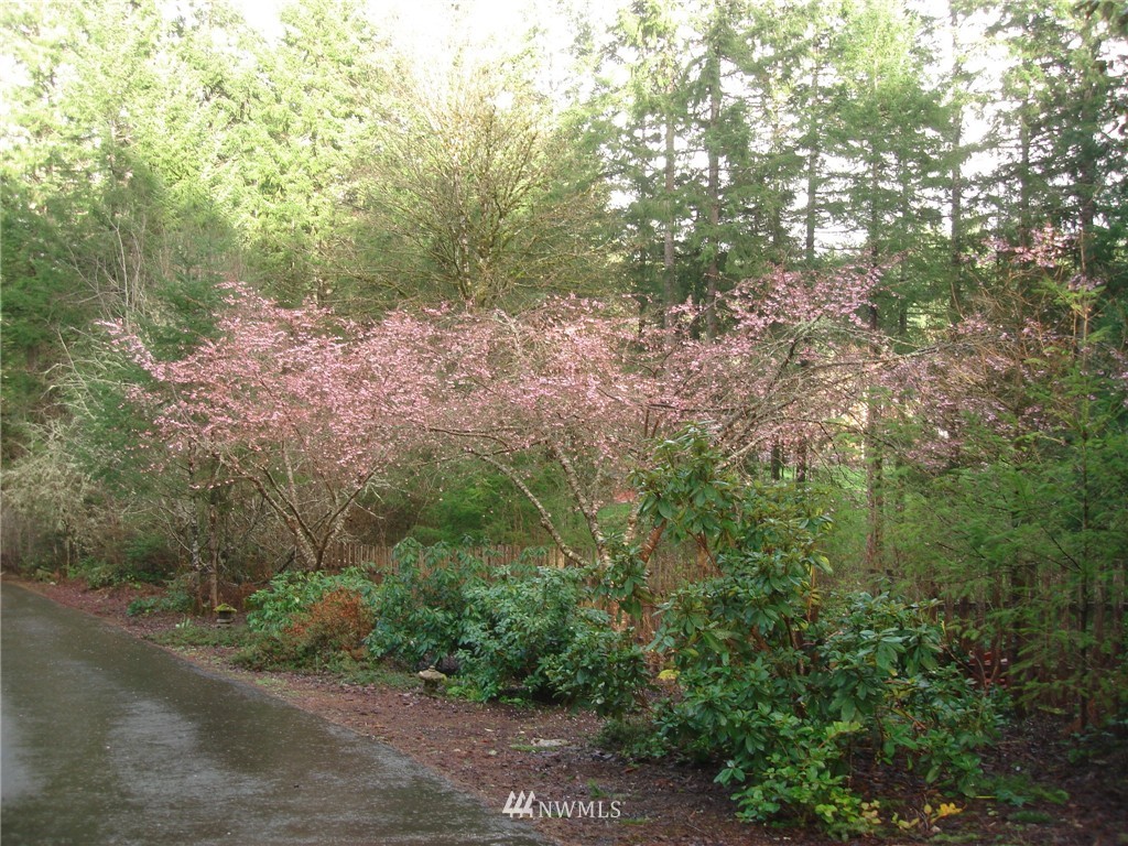 4934 Shellridge Road Northwest Olympia, WA 98502 - Photo 13 of 20 Gallery Image 13