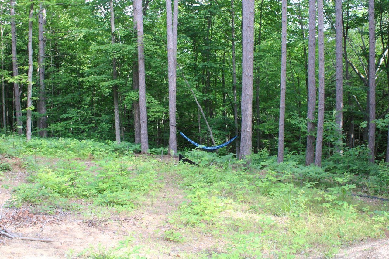 2750 Apple Creek Road Kalkaska, MI 49646 - Photo 12 of 24