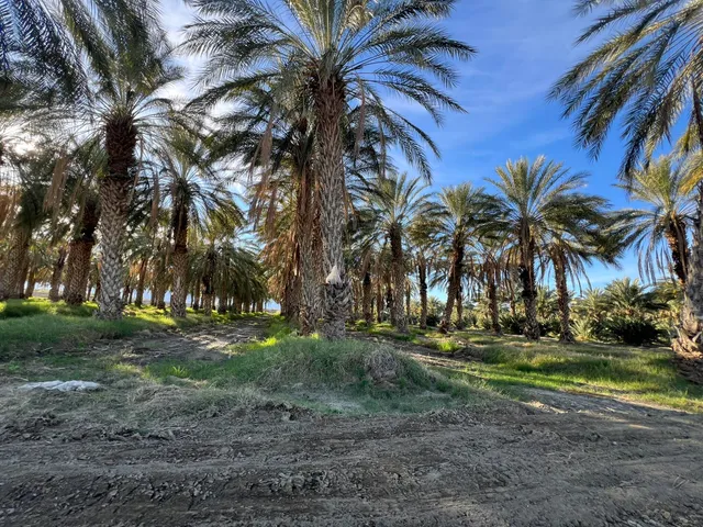a view of a lake with a yard